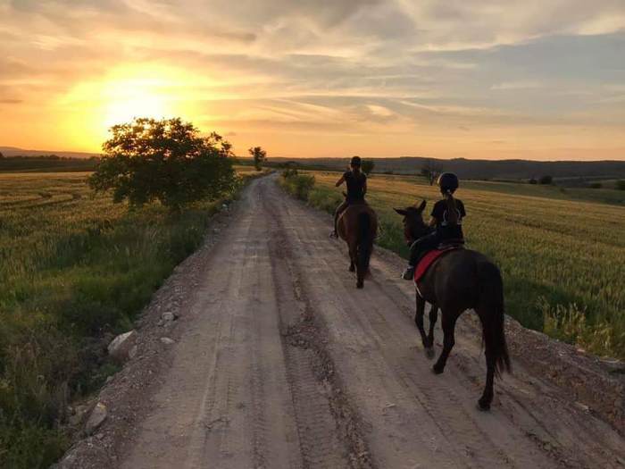 Horseback-road